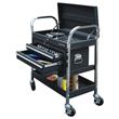 Sentribox SENTRI CART 2-Drawer Tool Cart