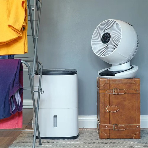 fans category