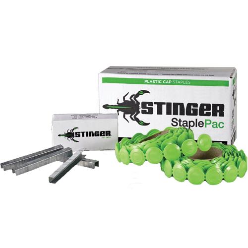 Stinger Cap & Staple Pack for CH38A/CH38-2 (4032pcs)