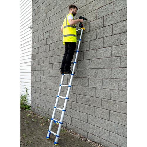 Werner Soft-close Telescopic Ladders